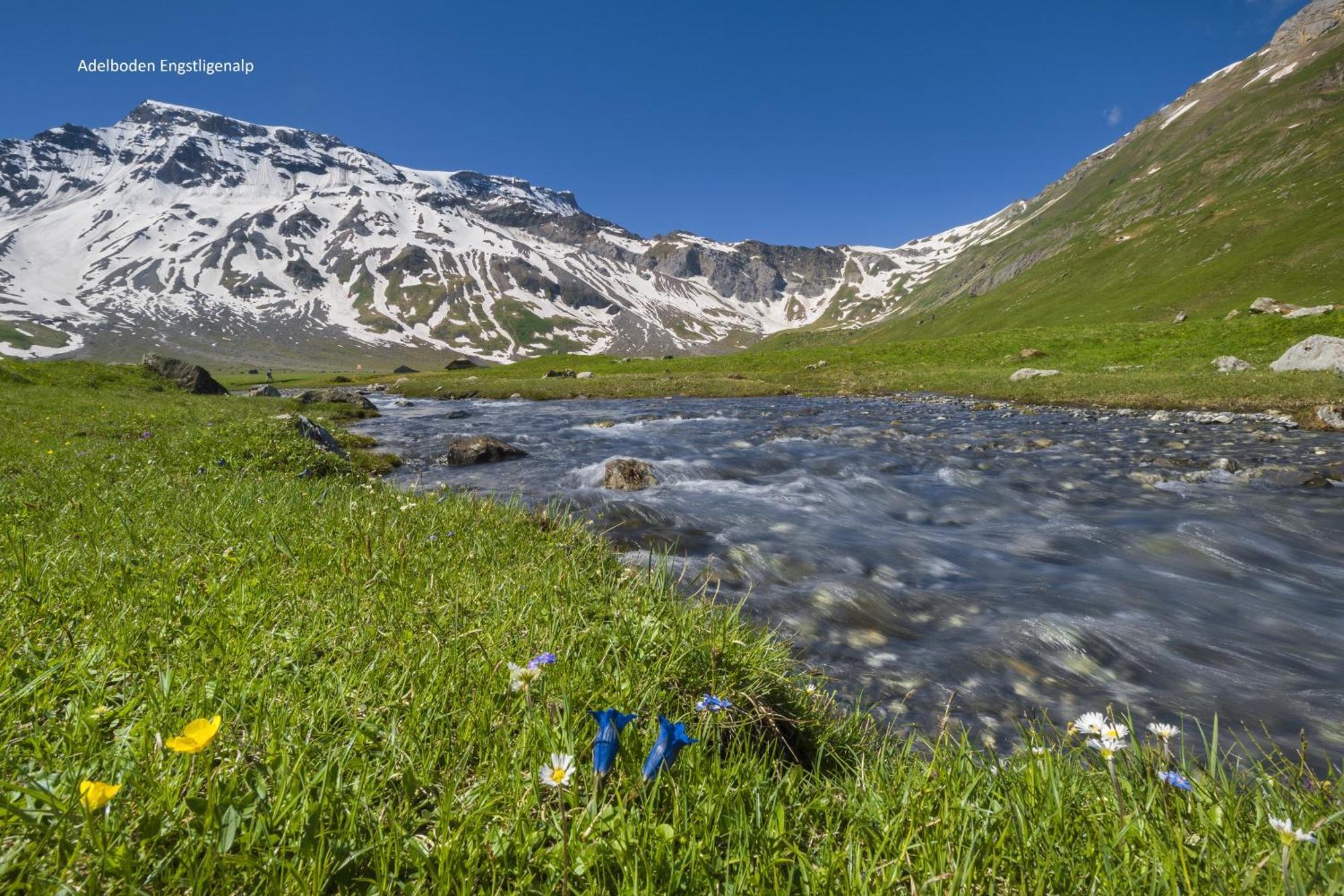 Energy Lodge Kandersteg Bagian luar foto